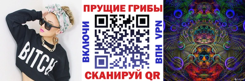 купить  цена  mega ССЫЛКА  Галлюциногенные грибы Psilocybe  Новая Ладога 